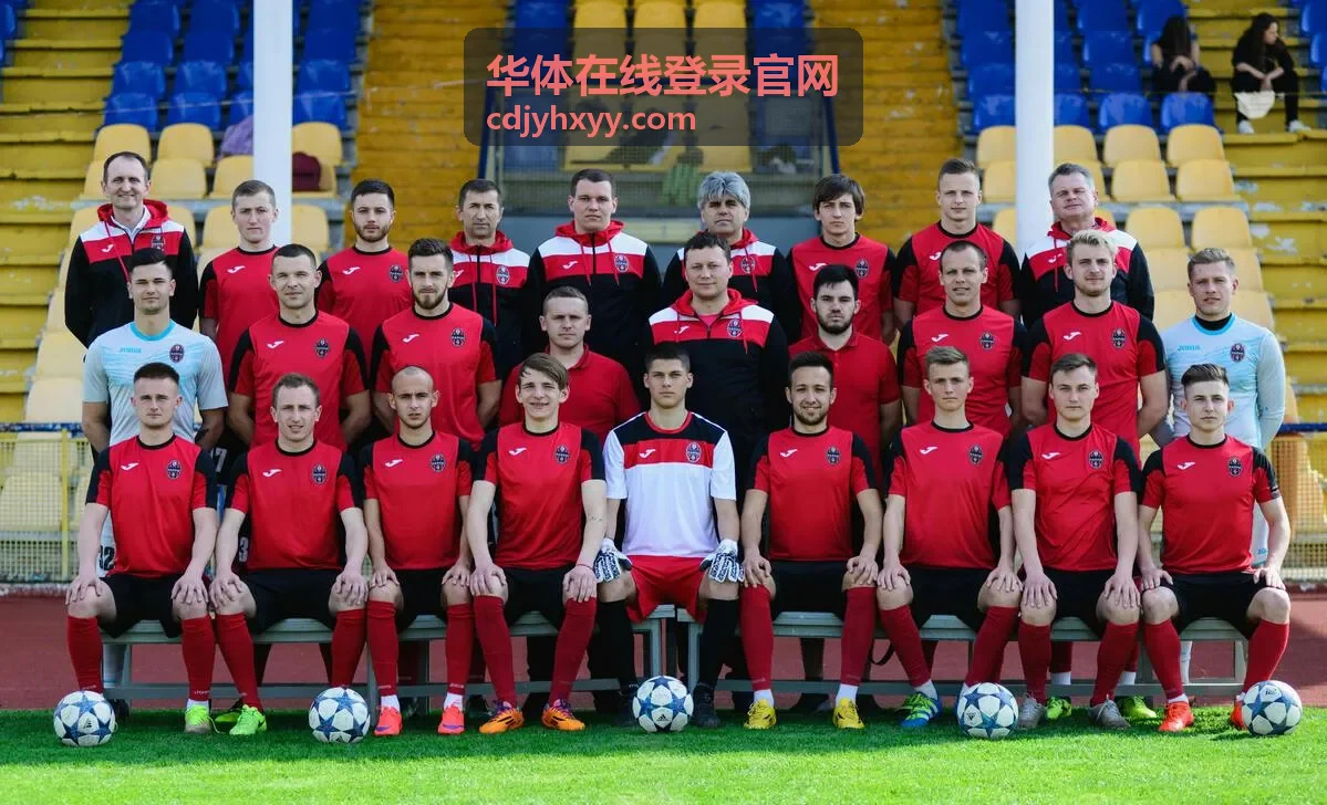 羽毛球团体赛决赛直播画面